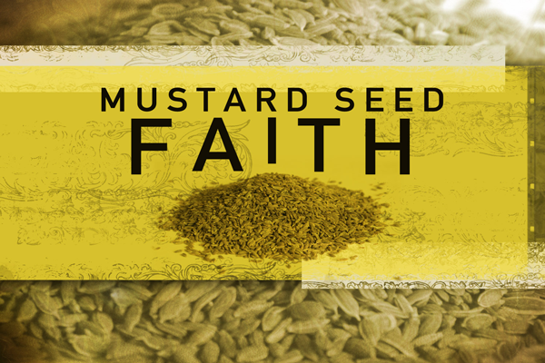 mustard-seed-faith2